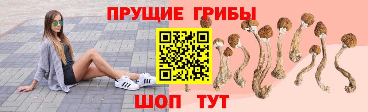Псилоцибиновые грибы Magic Shrooms Мыски