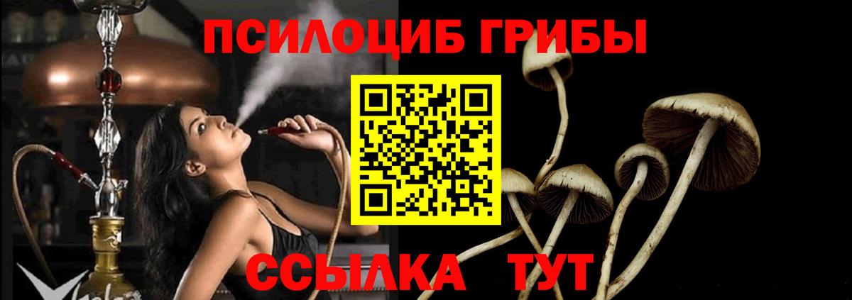 Галлюциногенные грибы ЛСД  Вход с VPN  Мыски 